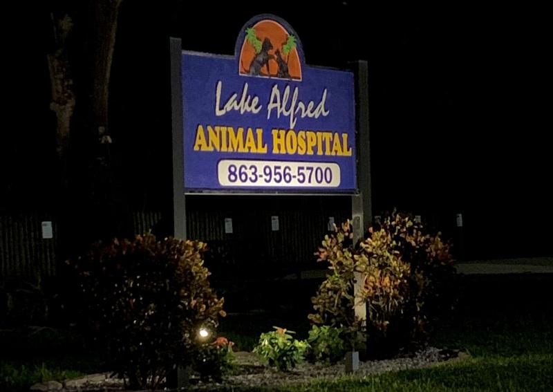 Carousel Slide 14: Lake Alfred Animal Hospital Exterior Sign