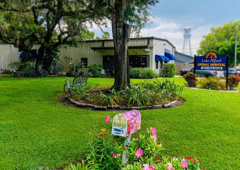 Carousel Slide 23: You will find our 5000 square foot facility quietly nestled under moss-drenched oak trees.