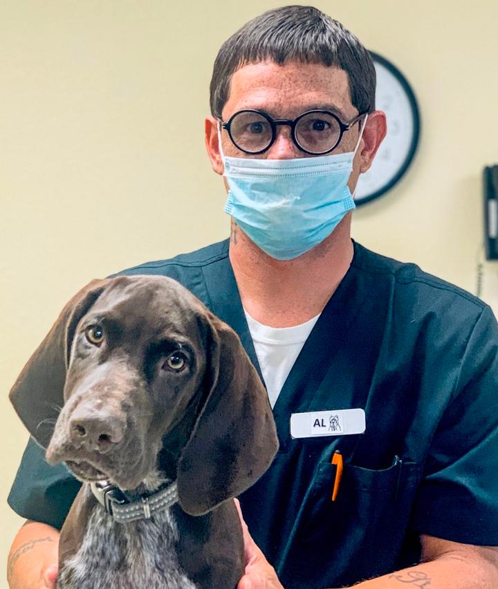 Experienced Veterinarians Lake Alfred Animal Hospital