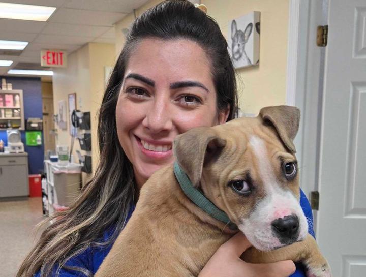 Puppy & Kitten Care 