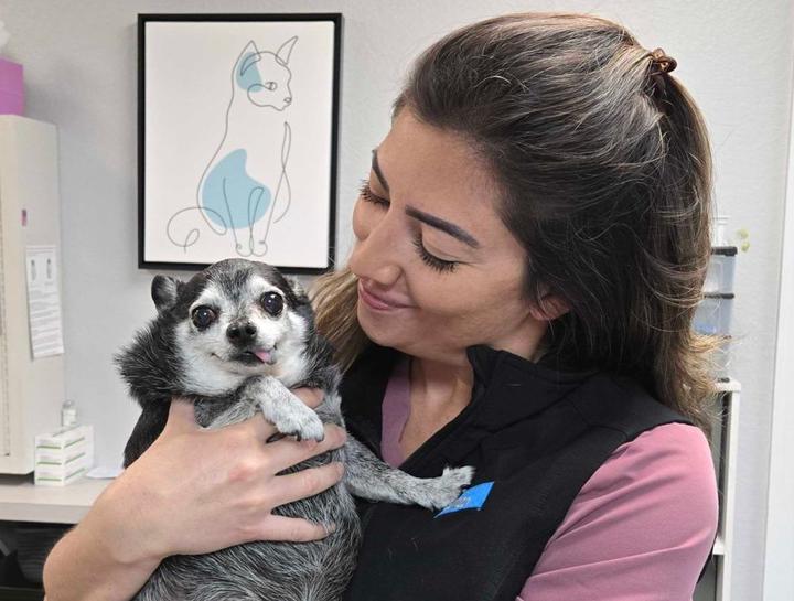 Senior Pet Care 
