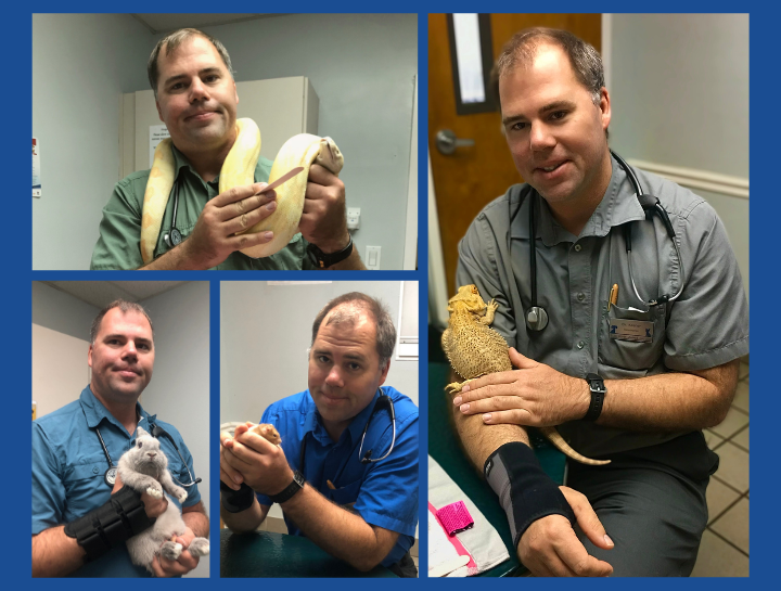 Exotic and Pocket Pet Vet in $city