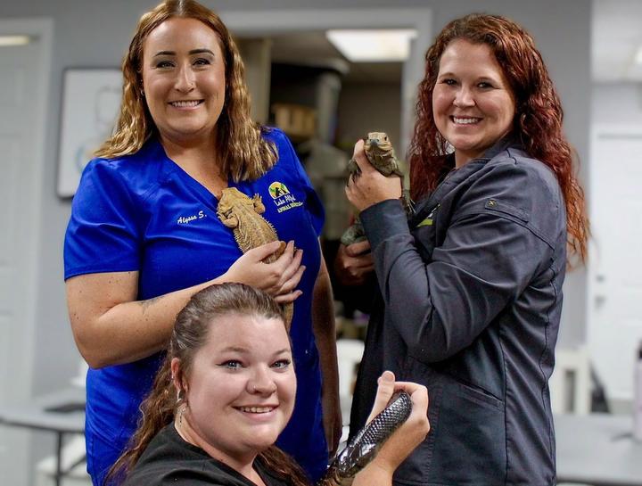 Exotic and Pocket Pet Vet in $city