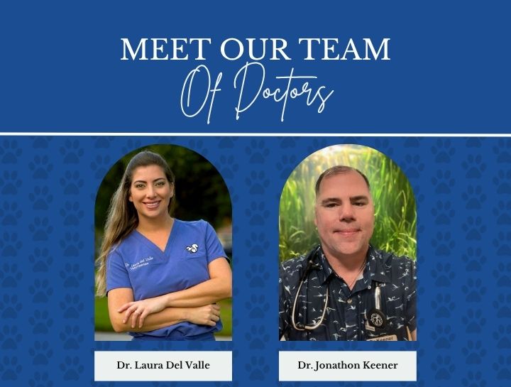 Meet the Doctors Behind Your Pet’s Care