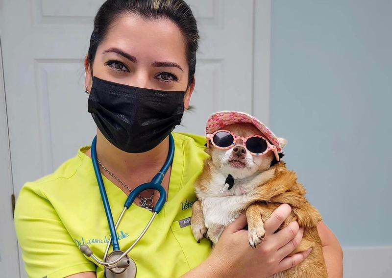 Carousel Slide 21: Dr. Laura with Pickles, the chihuahua!