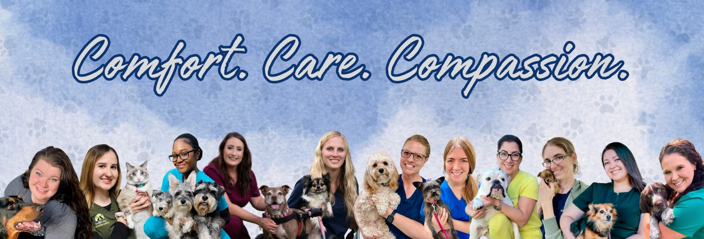 Lake Alfred veterinarians