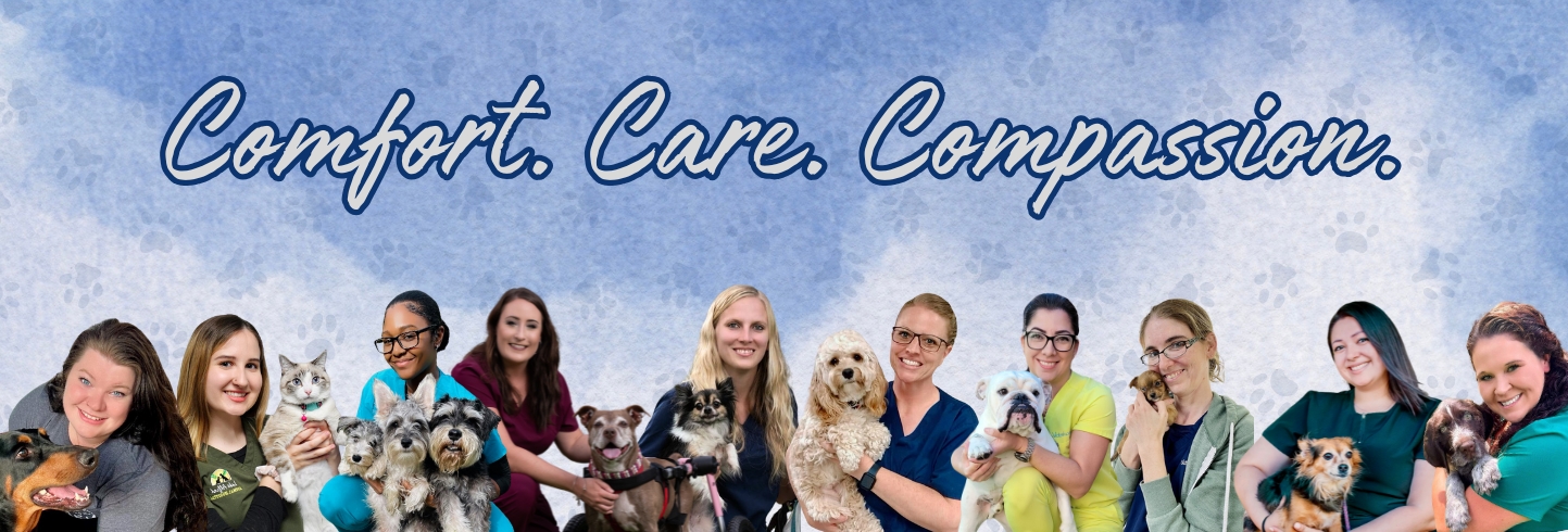 Lake Alfred veterinarians