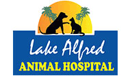 Lake Alfred Animal Hospital